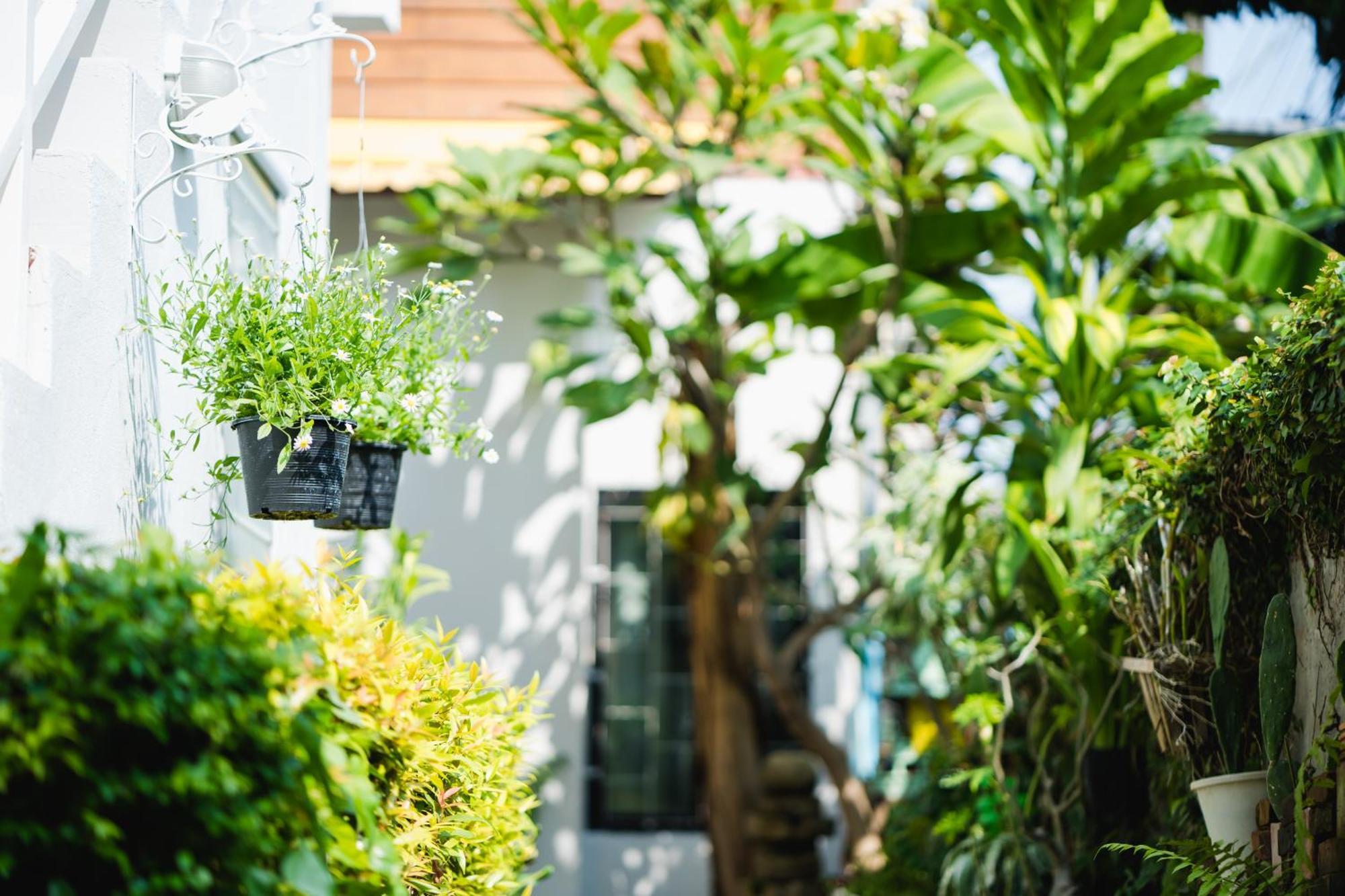 Sabuy Chiangmai Hotel Chiang Mai Ngoại thất bức ảnh