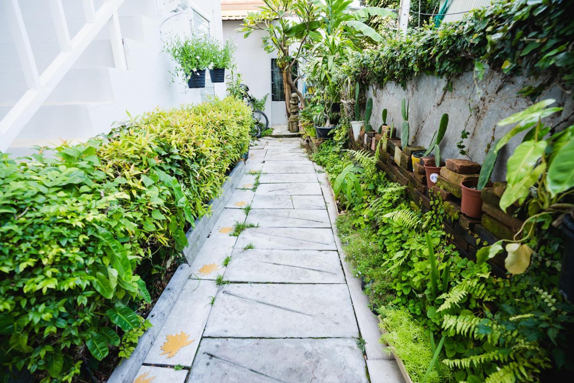 Sabuy Chiangmai Hotel Chiang Mai Ngoại thất bức ảnh